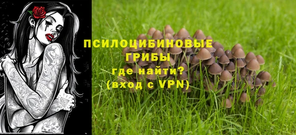 ГАЛЛЮЦИНОГЕННЫЕ ГРИБЫ Куйбышев