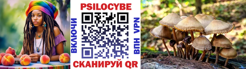 Купить  Боровичи  Галлюциногенные грибы прущие грибы 